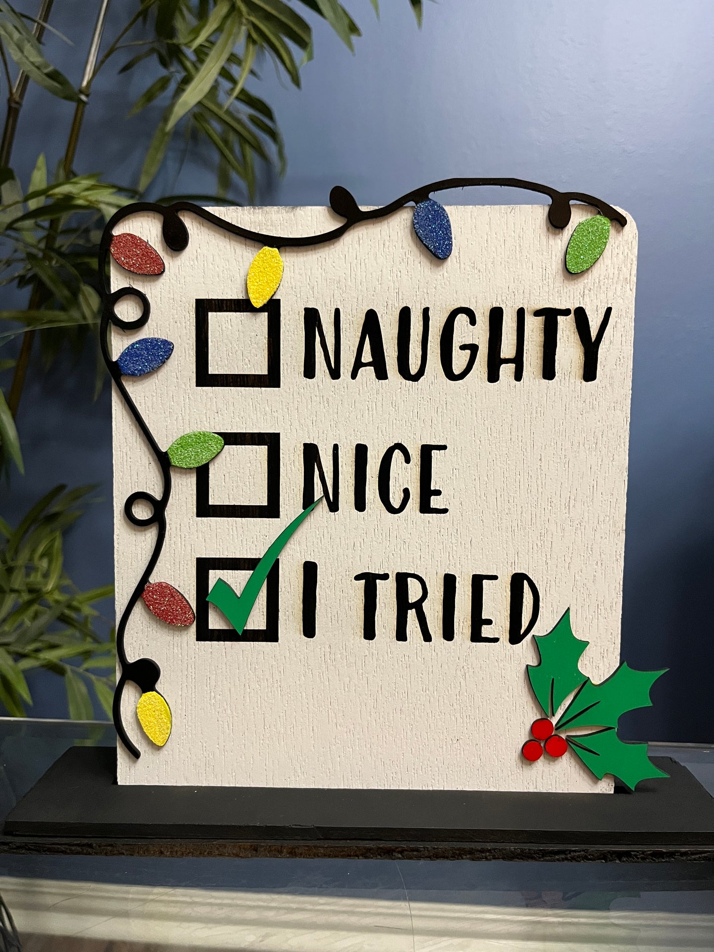 Naughty, Nice, I Tried Sign