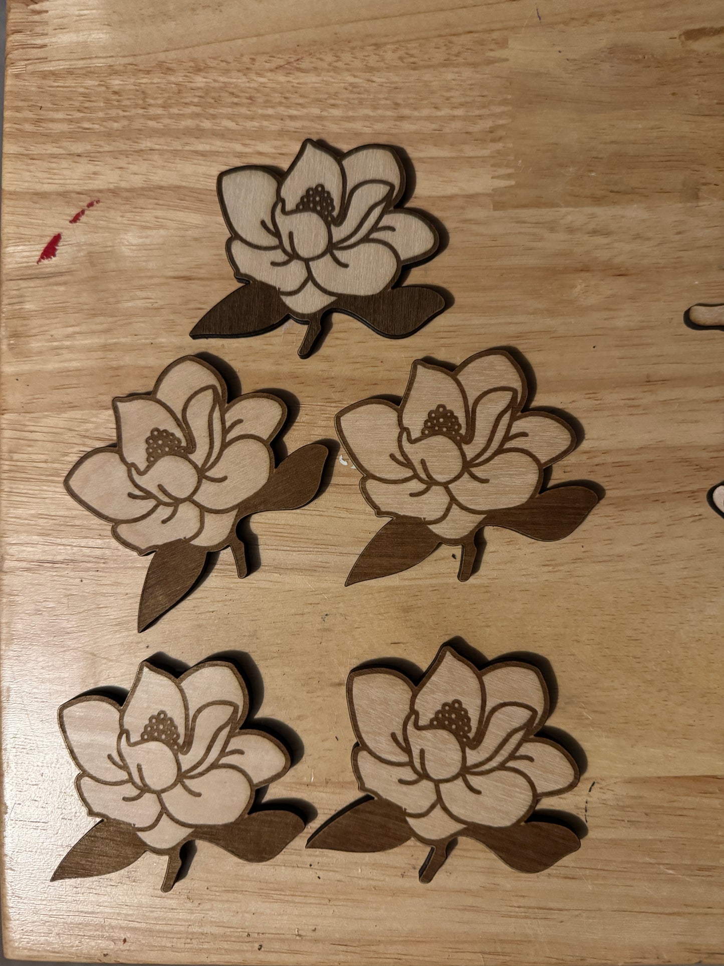 Magnolia Magnets