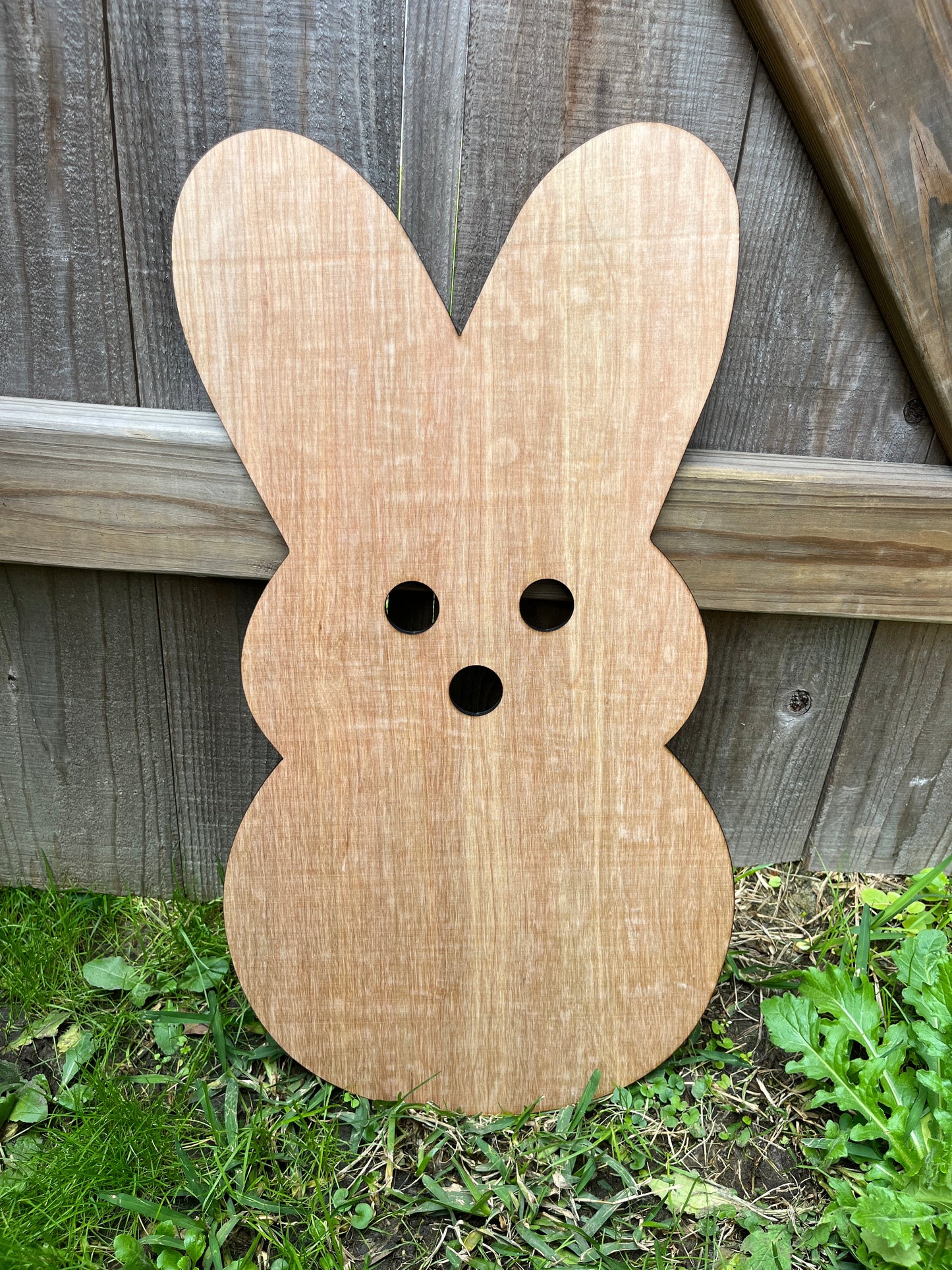 DIY Peep Door Hanger