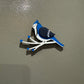 Blue Jay Magnet / Ornament