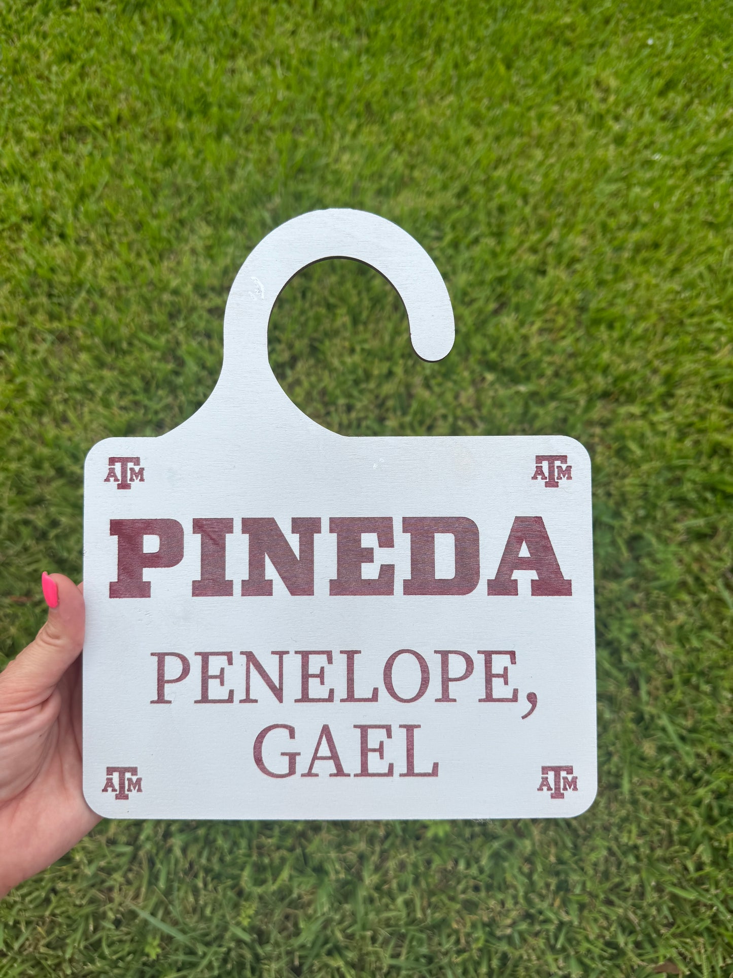 Car line name sign