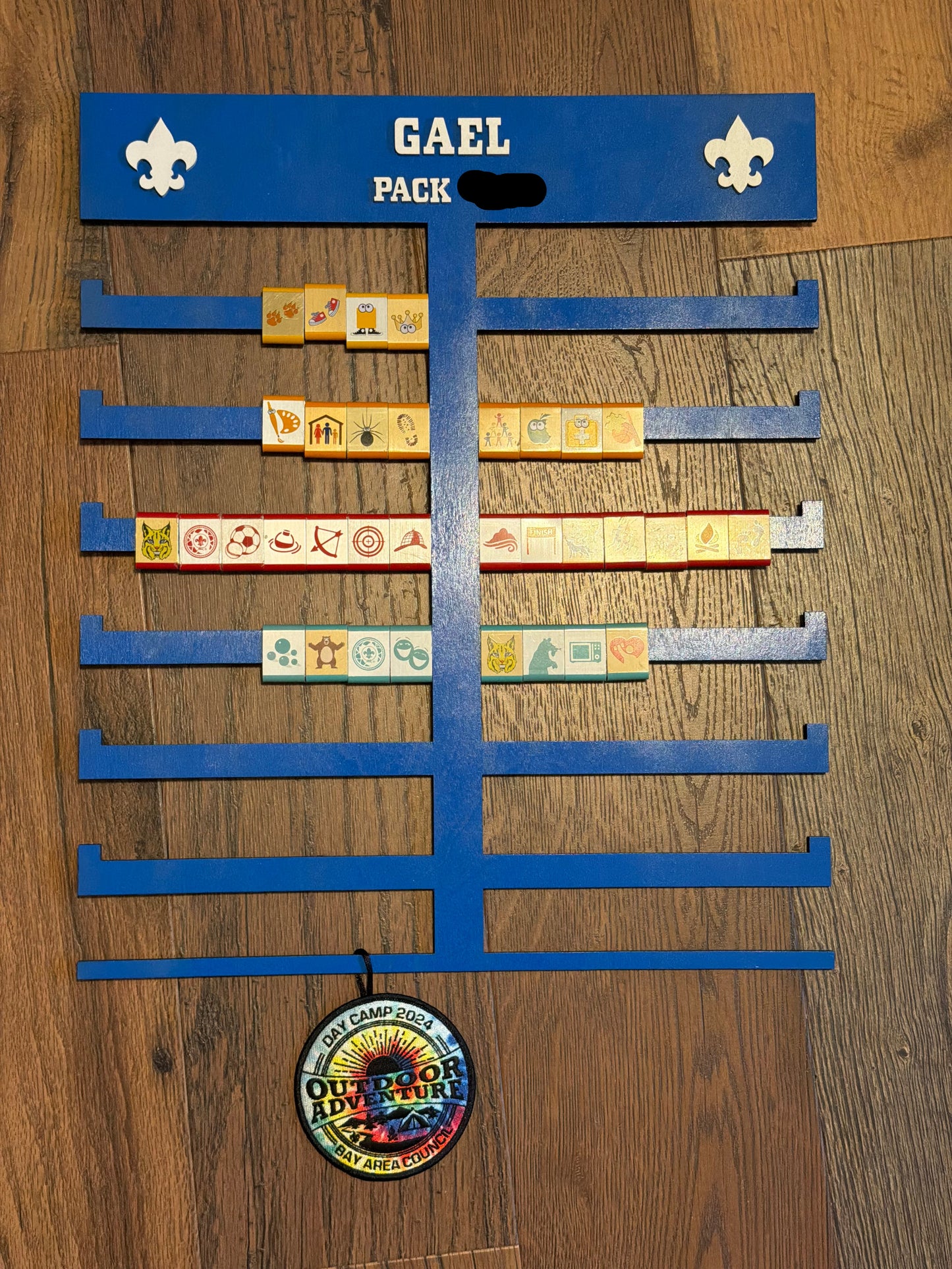 Boy Scout Award Holder